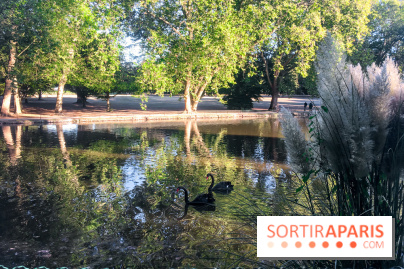 Le Jardin de l'Amour du Château de Cheverny