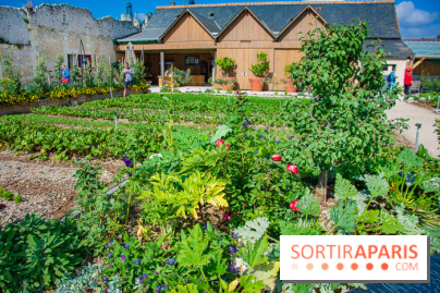Le Château de Chambord fête ses 500 ans : le programme des festivités