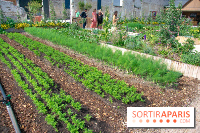 Le Château de Chambord fête ses 500 ans : le programme des festivités