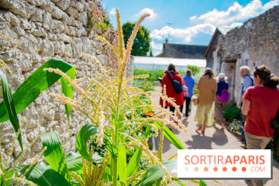 Le Château de Chambord fête ses 500 ans : le programme des festivités
