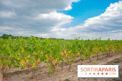 Le Château de Chambord fête ses 500 ans : le programme des festivités
