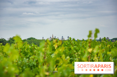 Le Château de Chambord fête ses 500 ans : le programme des festivités