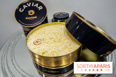 Bûches de Noël 2019 by Hugo & Victor, les photos