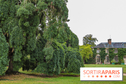 Le parcours des Arbres Admirables dans le domaine du château de Versailles