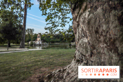 Le parcours des Arbres Admirables dans le domaine du château de Versailles