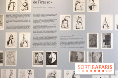 Exposition Tableaux Magiques au Musée Picasso