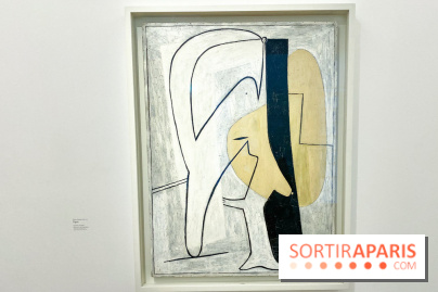 Exposition Tableaux Magiques au Musée Picasso