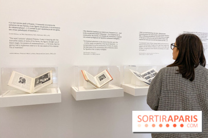 Exposition Tableaux Magiques au Musée Picasso