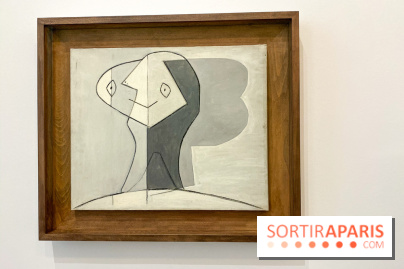 Exposition Tableaux Magiques au Musée Picasso