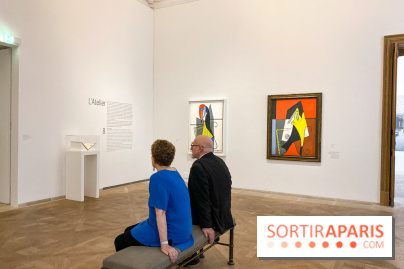 Exposition Tableaux Magiques au Musée Picasso