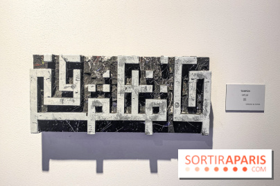 Walk the Line with L’ATLAS, l'epo au Musée en Herbe