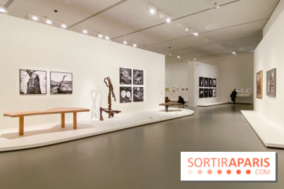 Charlotte Perriand à la Fondation Vuitton