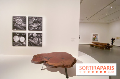 Charlotte Perriand à la Fondation Vuitton