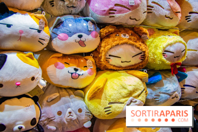 Paris Manga et Sci-Fi Show octobre 2019, programme et animations