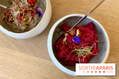 L'Abattoir Végétal - rive gauche