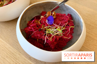 L'Abattoir Végétal - rive gauche