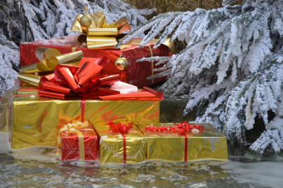 Noël 2019 au Château de Cheverny