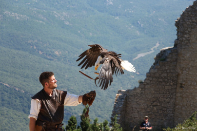 aigle spectacle