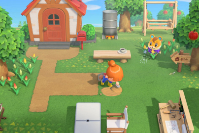 Animal Crossing : New Horizons 