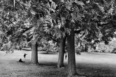 Sebastiao Salgado à l'honneur dans une exposition de photos gratuite à l'Hôtel de Ville de Paris