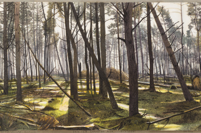 A bois perdu, l'exposition à la Fondation Custodia