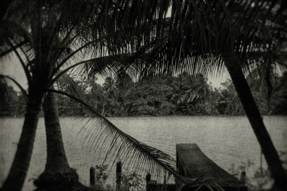 L'Odeur de la nuit était celle du jasmin : l'expo photo à l'Académie des Beaux-Arts