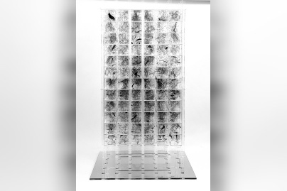 Vie Digitale, l'exposition de Rodolphe Barsikian à la Galerie Joseph