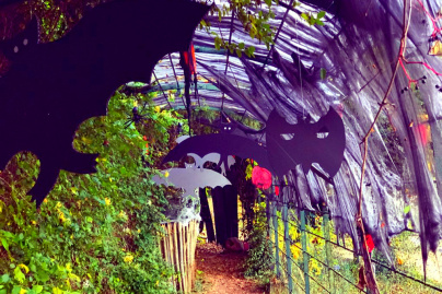 Halloween au Potager des Princes à Chantilly