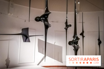 Le musée Guimet offre une Carte blanche à l'artiste Toshimasa Kikuchi