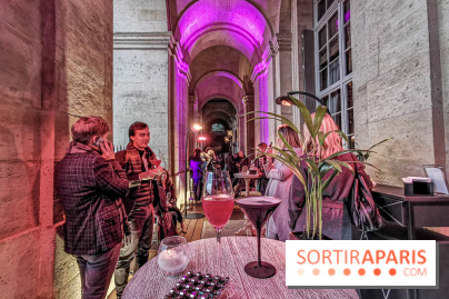 Les Ambassadeurs, le nouveau bar du Crillon.