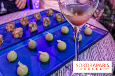 Les Ambassadeurs, le nouveau bar du Crillon