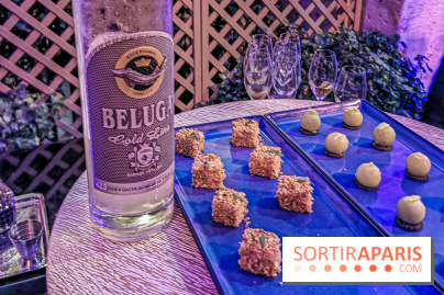 Les Ambassadeurs, le nouveau bar du Crillon