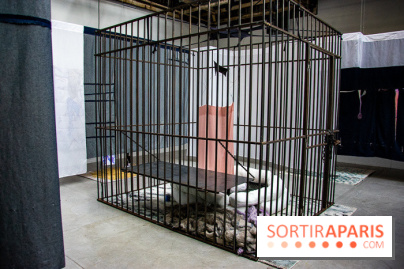 Futur, Ancien, Fugitif, l'exposition au Palais de Tokyo - nos photos