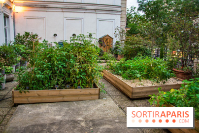 L'Hôtel des Grands Boulevards inaugure son potager suspendu