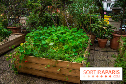 L'Hôtel des Grands Boulevards inaugure son potager suspendu