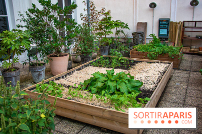 L'Hôtel des Grands Boulevards inaugure son potager suspendu