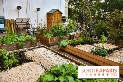 L'Hôtel des Grands Boulevards inaugure son potager suspendu
