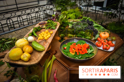 L'Hôtel des Grands Boulevards inaugure son potager suspendu