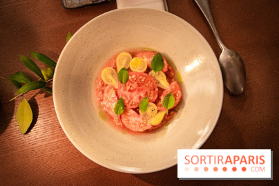 L'Hôtel des Grands Boulevards inaugure son potager suspendu