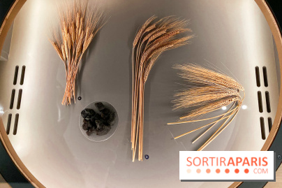 Je mange donc je suis au Musée de l'Homme