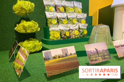 Je mange donc je suis au Musée de l'Homme