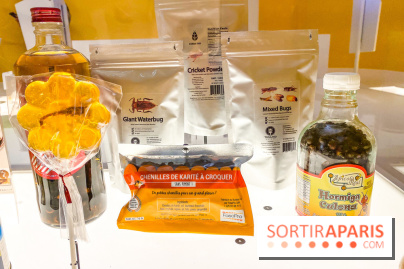 Je mange donc je suis au Musée de l'Homme