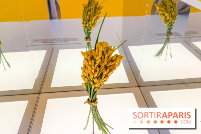 Je mange donc je suis au Musée de l'Homme