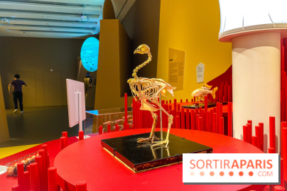 Je mange donc je suis au Musée de l'Homme