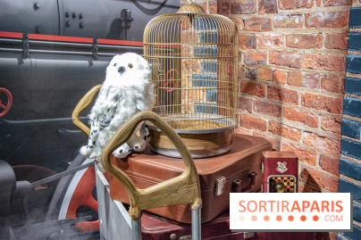 Wizarding World, la boutique officielle Harry Potter au Village JouéClub de Paris