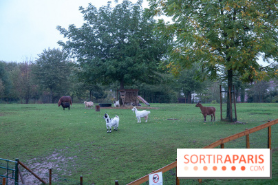 Campanile Val de France : nos photos
