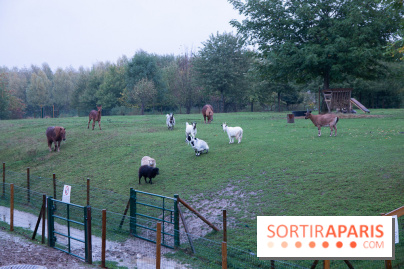 Campanile Val de France : nos photos