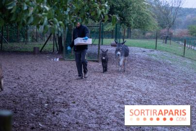 Campanile Val de France : nos photos