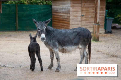 Campanile Val de France : nos photos