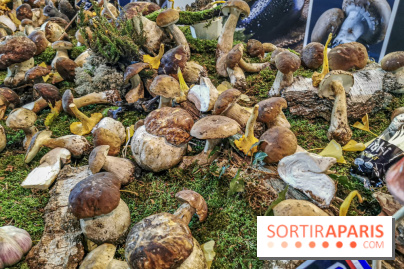 Rungis investit le Grand Palais, les photos 